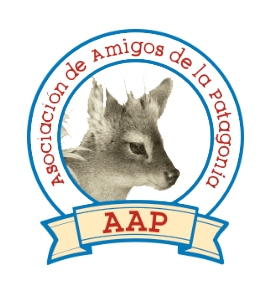 logo aap